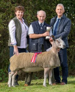 Welshpool Overall Champion with Sponsors KLF Insurance Brokers Blue Faced Leicesters