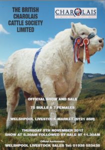 KLF at Charolais Sale