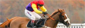 MS Amlin - Gold Cup