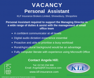 Job Opportunity - Personal Assistant