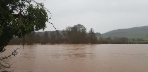 Storm Debi follows hot on the heels of Storm Ciaran, Babet and Anges, which have wreaked havoc across the UK. Farmers, confronting the aftermath of these storms, are now grappling with heightened risks aggravated by climate change.