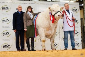 KLF Insurance Brokers Sponsor The British Charolais Cattle Society (BCCS)